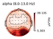 Scalp topomap showing alpha-band (8-13 Hz) power distribution across the head
